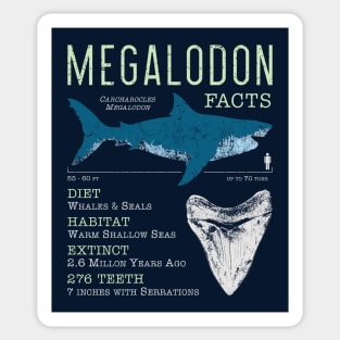 Megalodon Facts Sticker